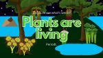 do you know what's weird plants are living periodt blogs featured image natural wildlife and plants graphics